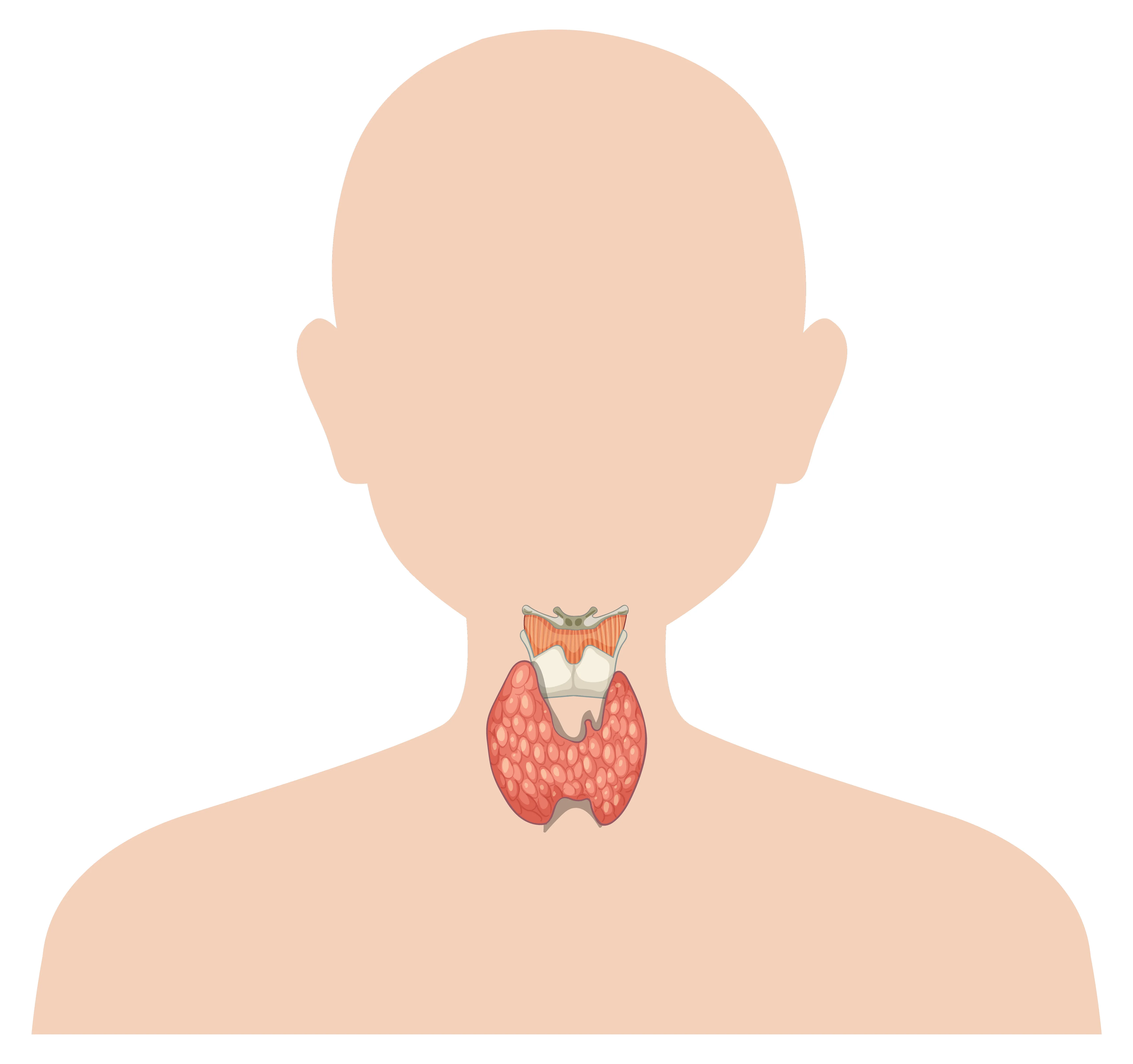 Fatma Sağlam | İç Hastalıkları, Endokrinoloji ve Metabolizma Hastalıkları Uzmanı Fatma Sağlam | İç Hastalıkları, Endokrinoloji ve Metabolizma Hastalıkları Uzmanı